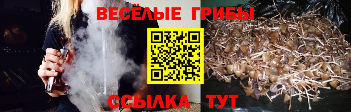 Заволжье  Галлюциногенные грибы Cubensis  Псилоцибиновые грибы мухоморы  Вход с VPN 