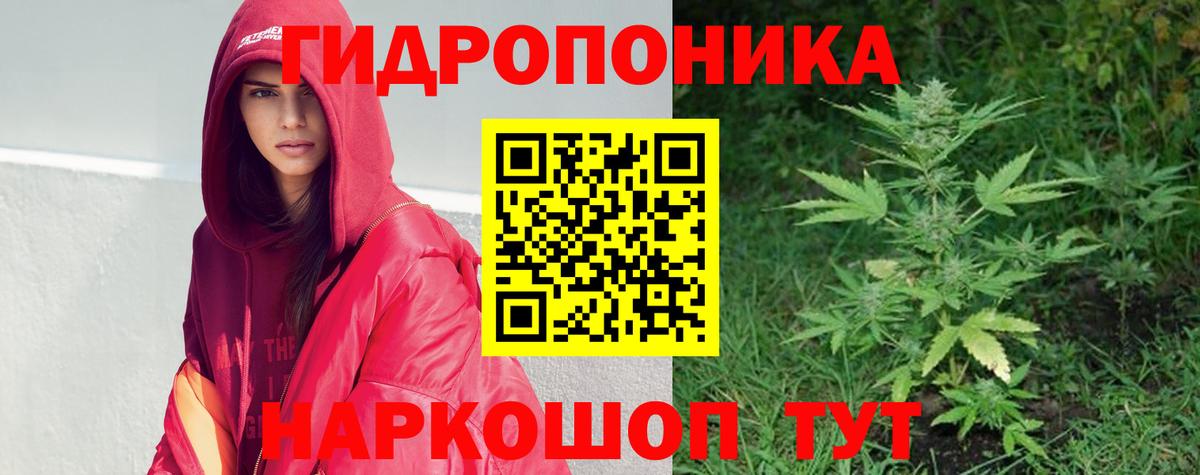 Бошки марихуана гибрид  Вход с VPN  Канабис SATIVA & INDICA  Марихуана ГИДРОПОН  Канабис конопля  Заволжье 